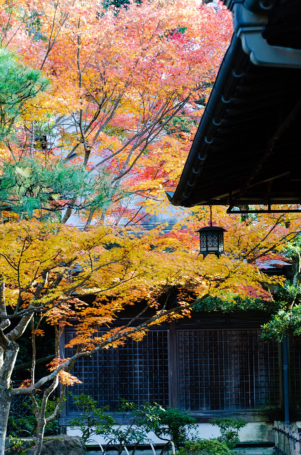 吉城園の紅葉と建築