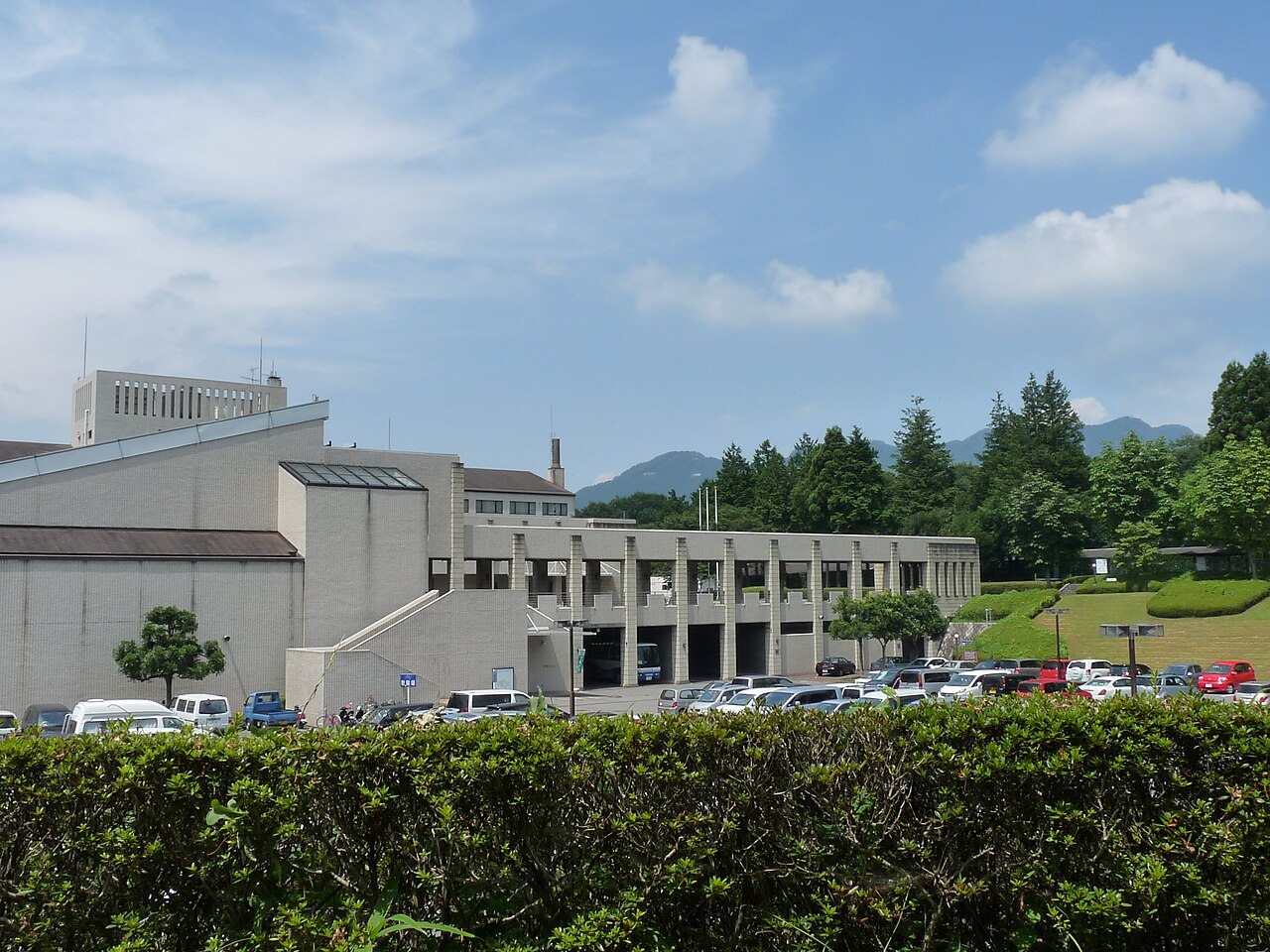夏空と山並みを背景にしたニューサンピア栃木の外観