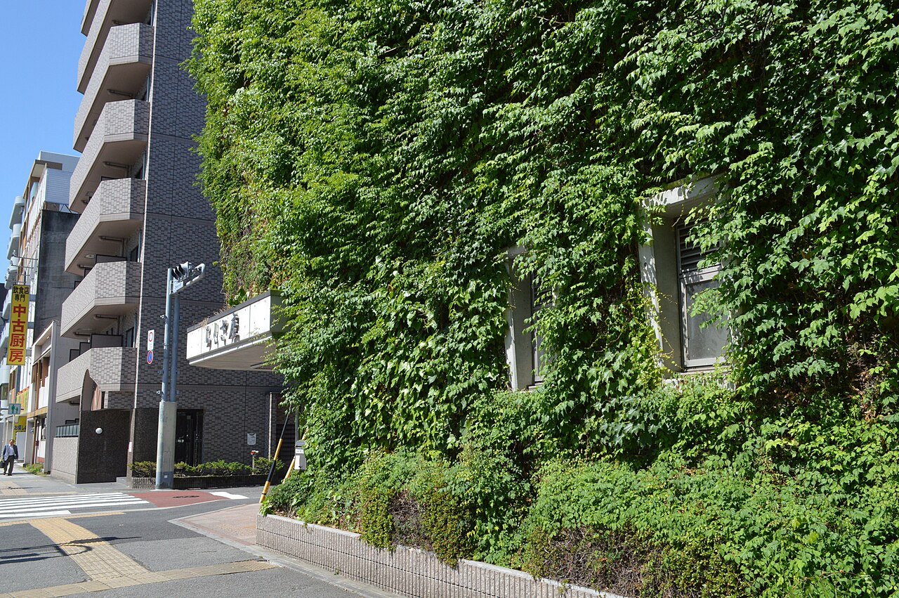 千種文化小劇場ちくさ座の緑化壁面