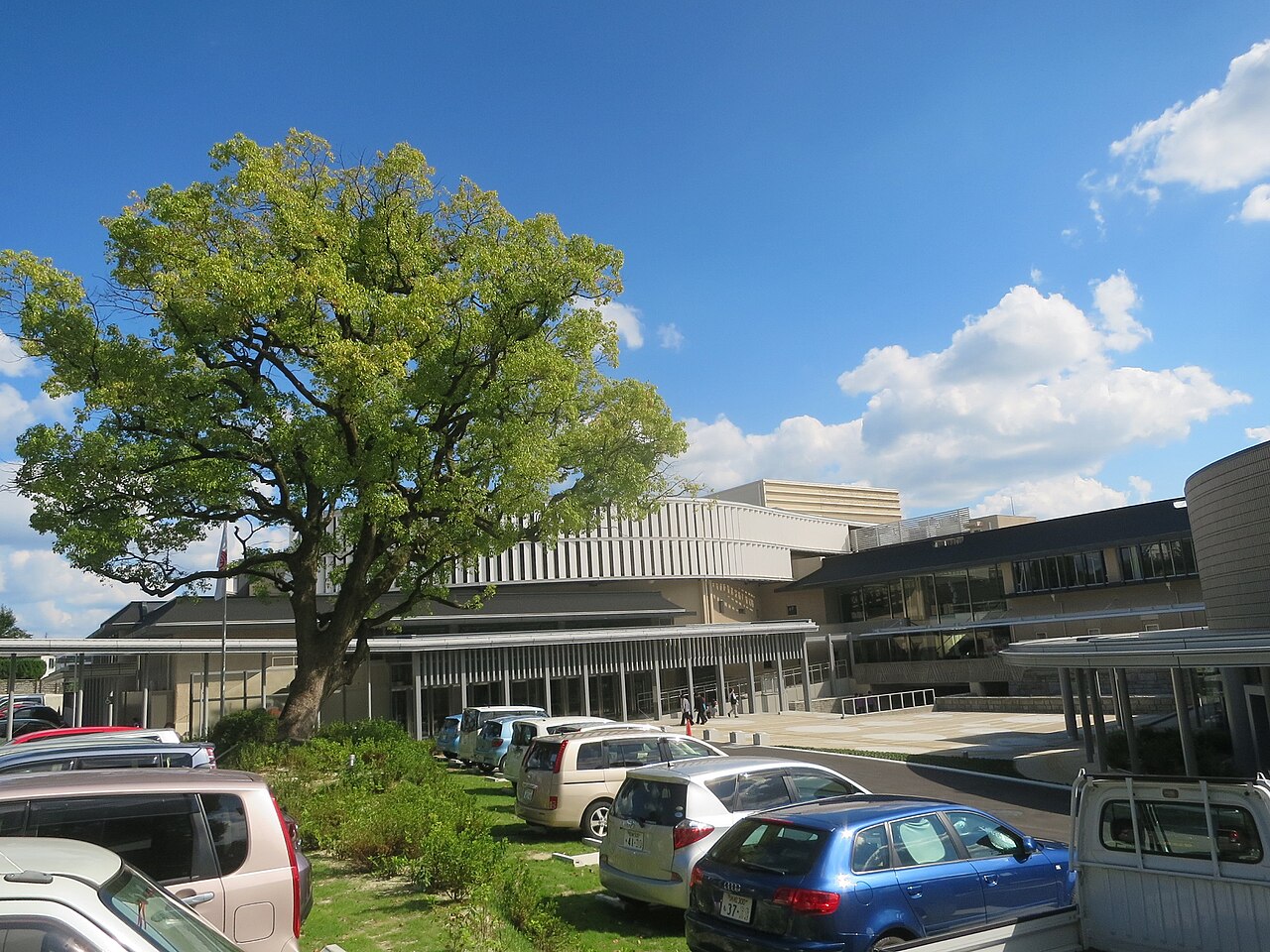 大樹越しに見た岡崎市民会館の外観